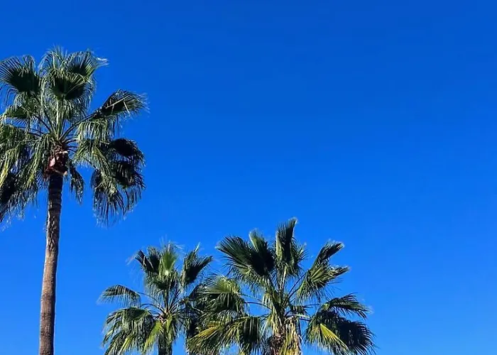 Americas - Garden Lägenhet Costa Adeje (Tenerife)